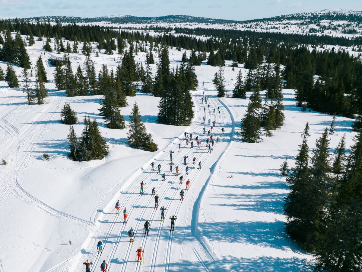 Ski