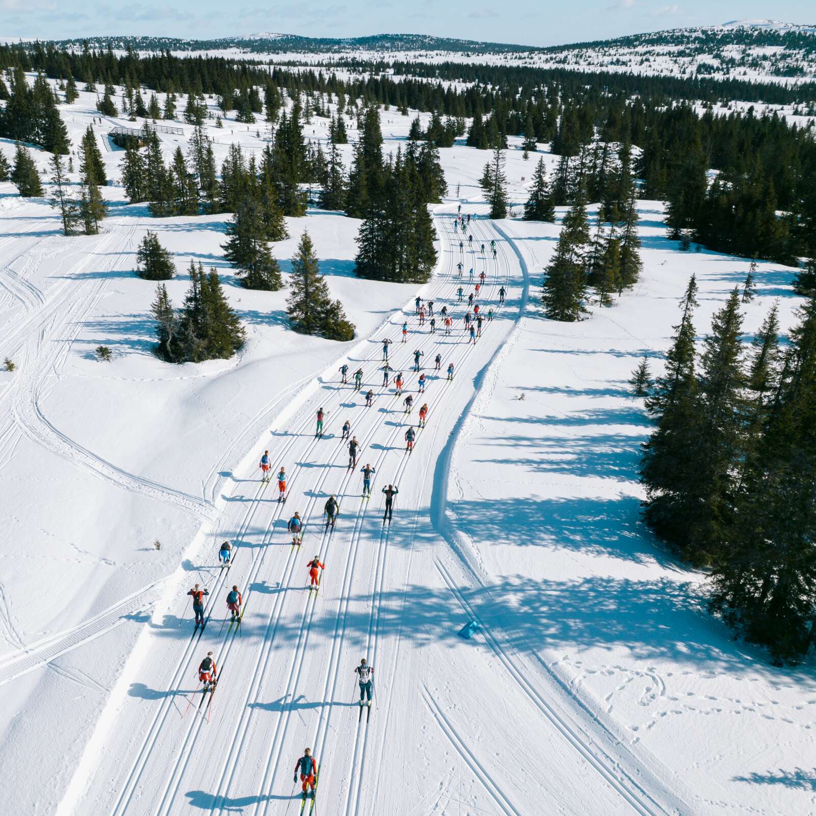 Birkebeinerrennet2025(3of20)