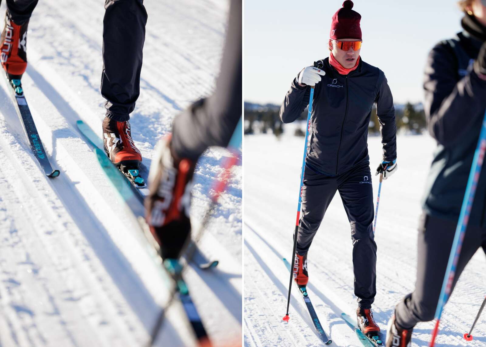 alpina og birken sammen