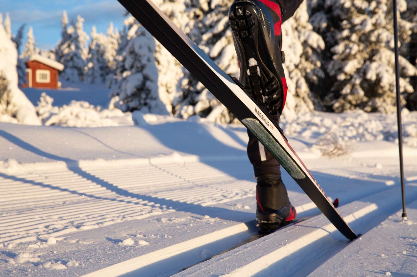 Felleski til Birken – fordeler og feste i variert føre