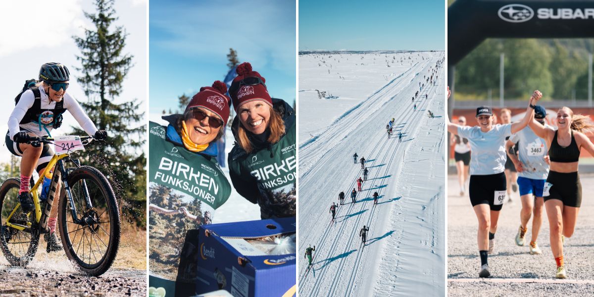 Uten navn (1600 x 1200 px) (1200 x 600 px)