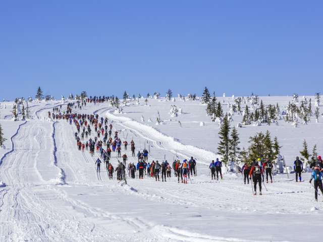 Påmelding til skifestivalen 2022 er åpen!