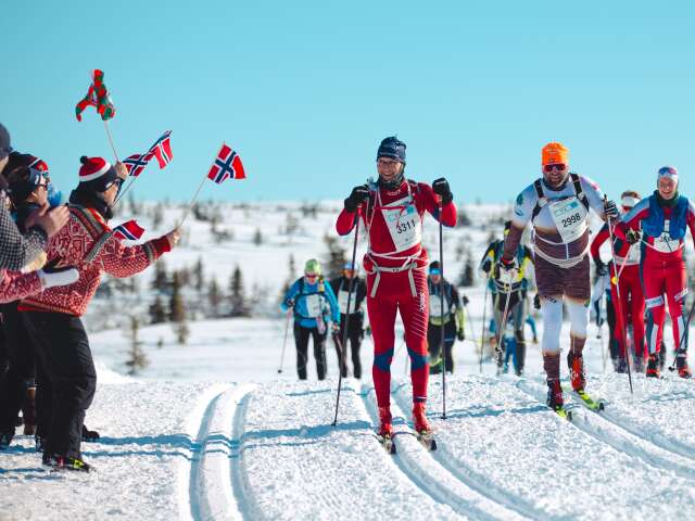 2. Birkebeinerrennet2024_Fotograf-_Emil_Sjåstad_Nyeng (25 of 63)