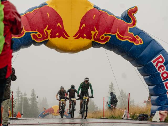 Birken Redbull-6