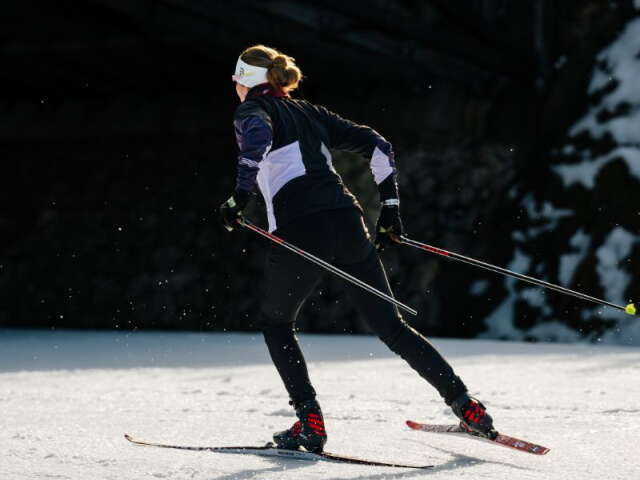 birken cover  nettside 800x800