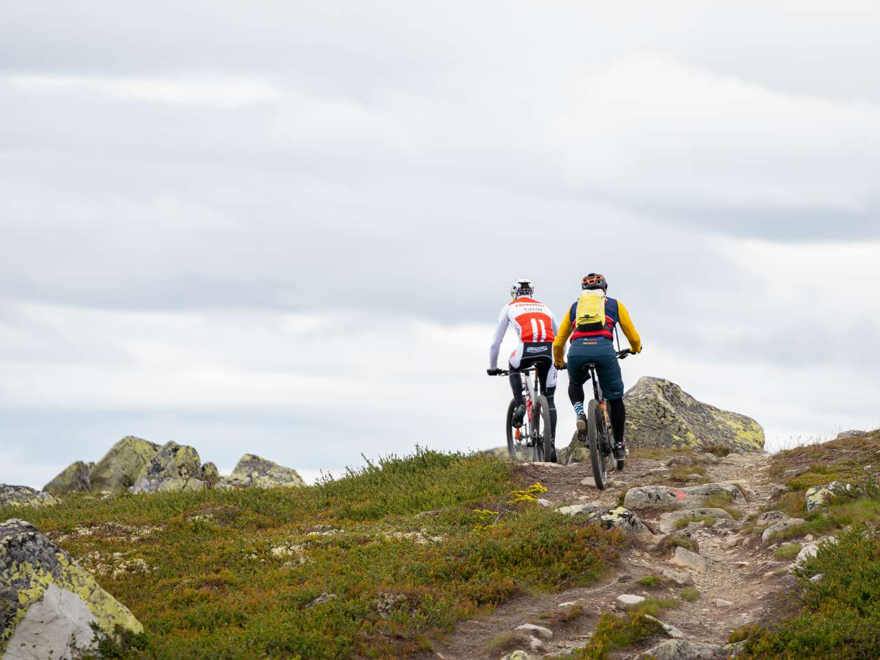 UltraBirken Sykkel 110 km 2026