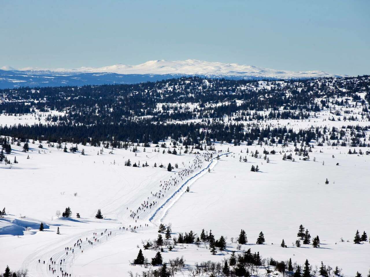 HalvBirken Ski 28K 2027