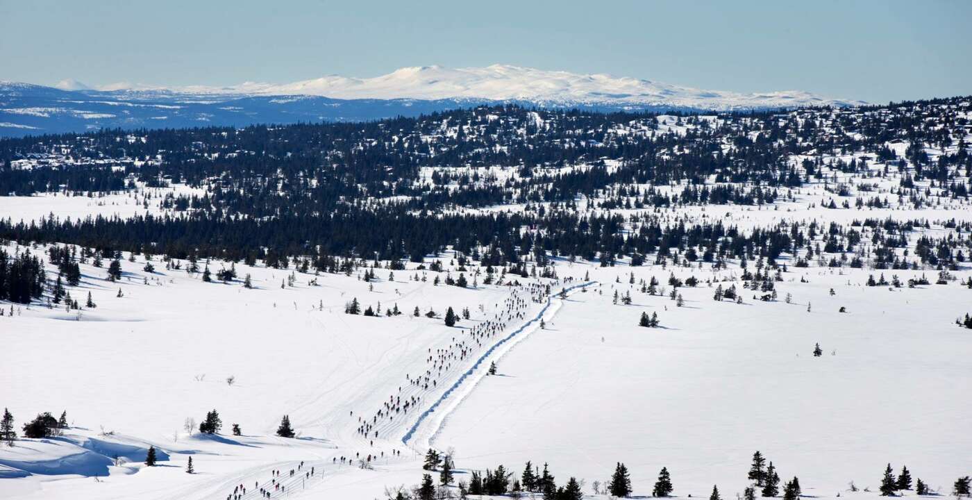 ArkivBilde fra Birken mellom Midtfjell og Sjusjøen