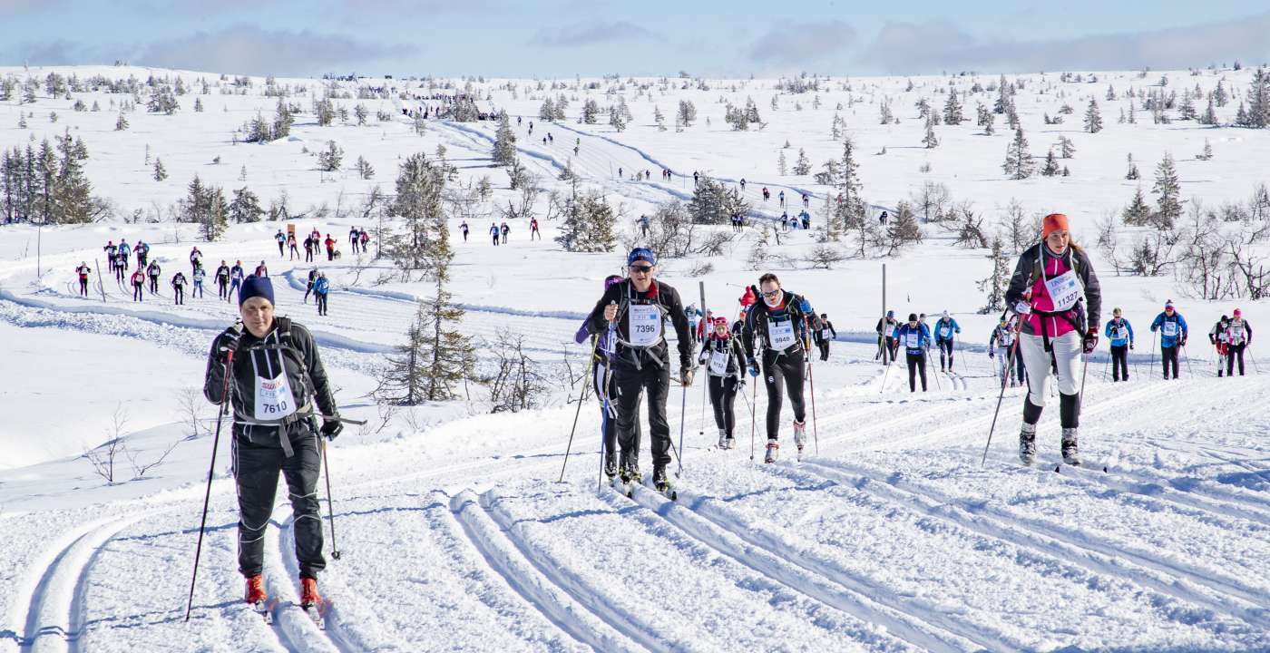 Birken ski 16.3 2019  _75