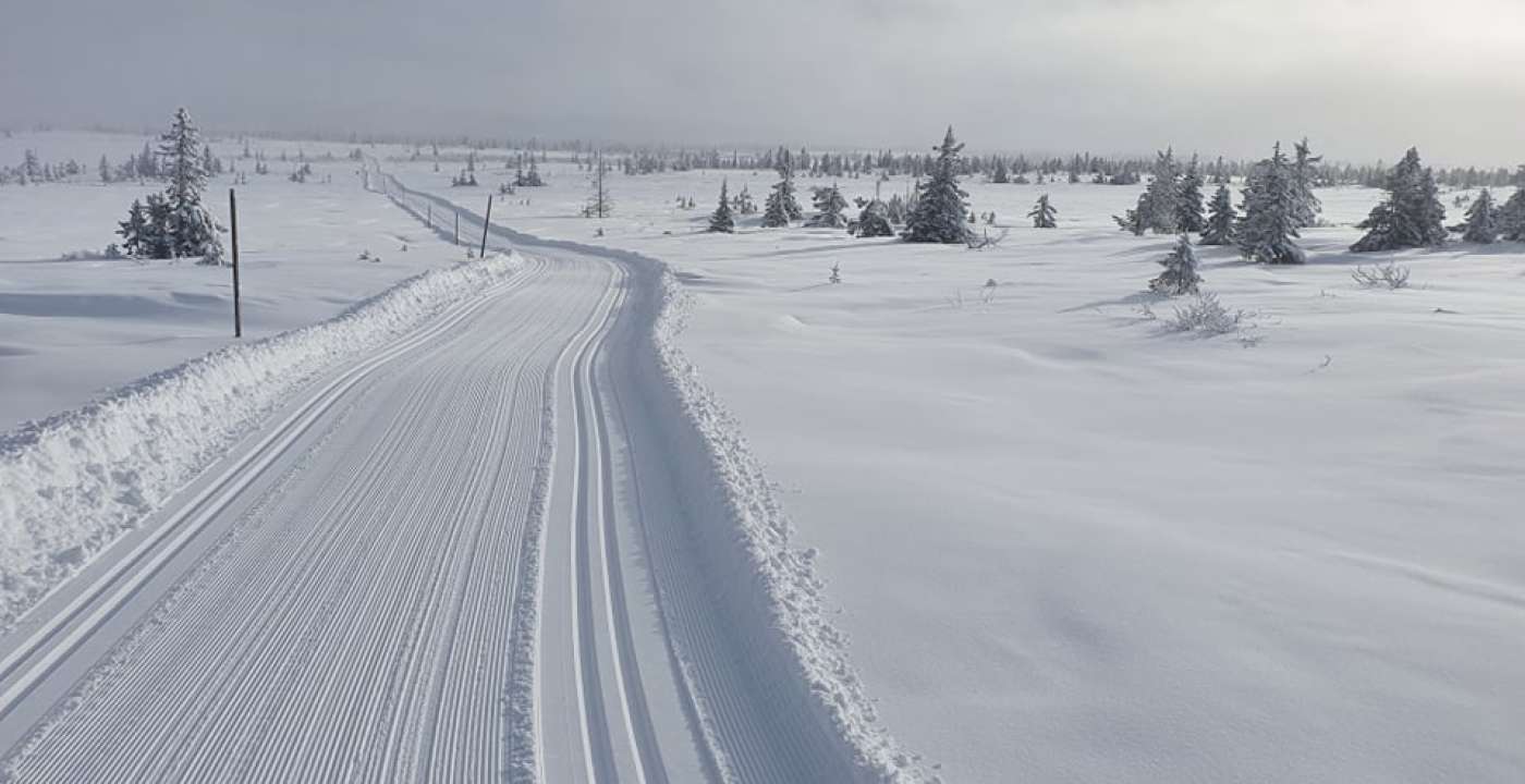 Raudfjellet 16.02