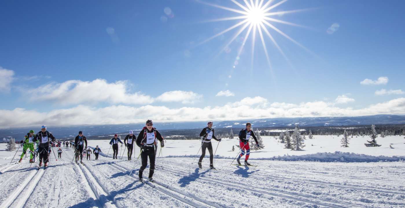 Birkebeinerrennet