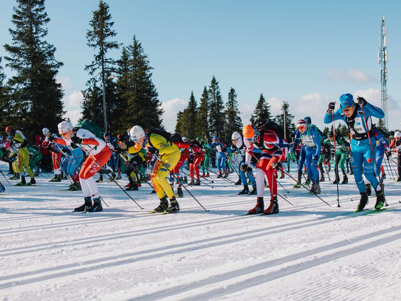 UngdomsBirken Ski 16.5 km 2027
